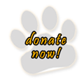 Donate to Wisconsin Big Cat Rescue & Educational Center