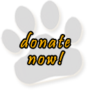 Make a donation to Wisconsin Big Cats Rescue