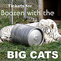 6th Annual Boozen with the Big Cats Tickets